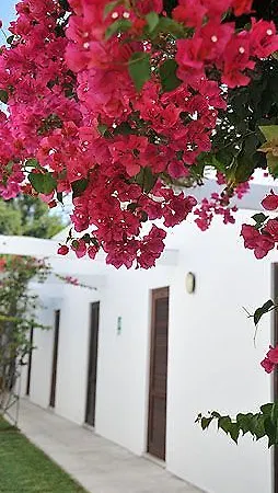 فندق Solara 3*