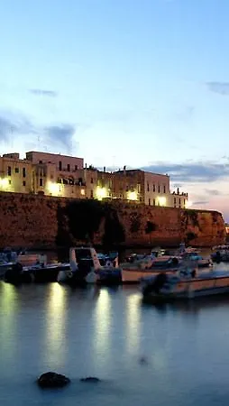 Solara كونكا سبيكيولا