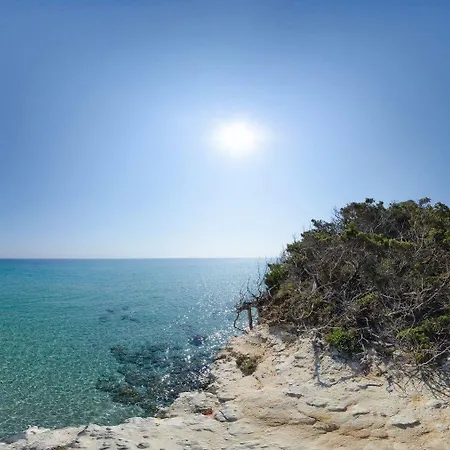 Solara كونكا سبيكيولا